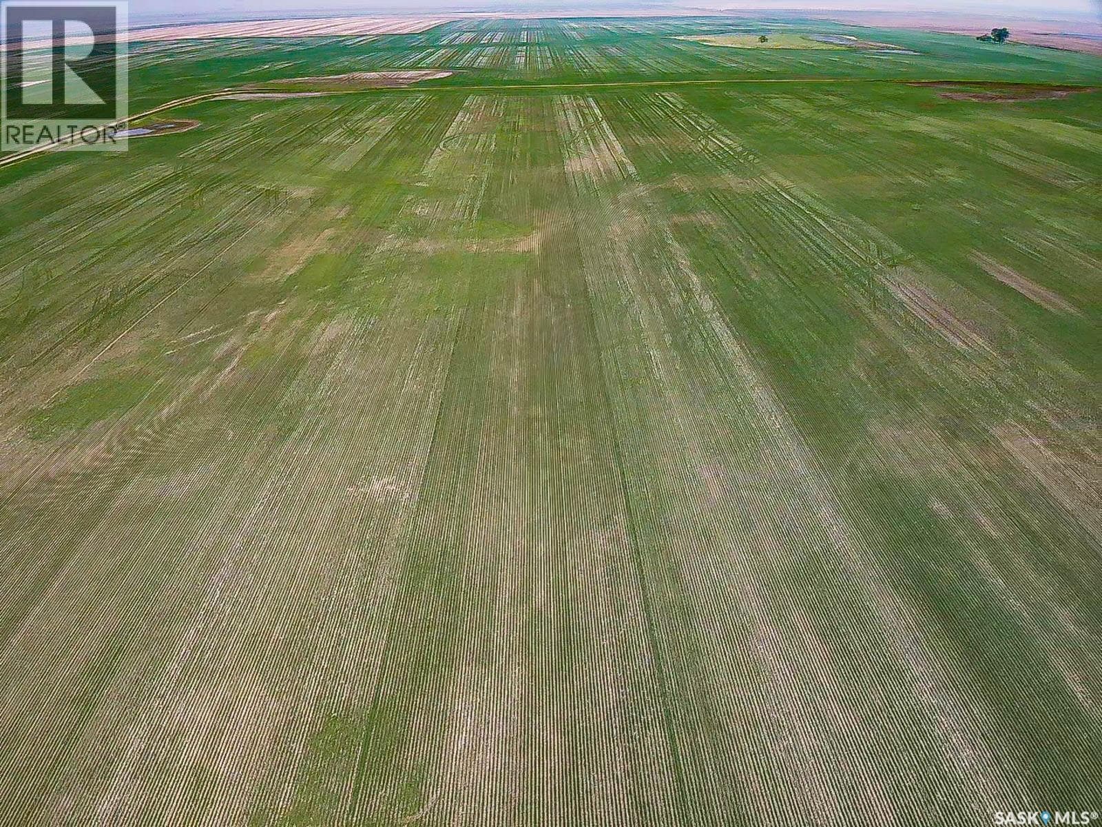 25 Quarter Sections - Rm Souris Valley — photo 4