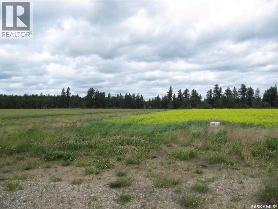 LOT 11 PARCEL 3.41 ACRES — photo 3