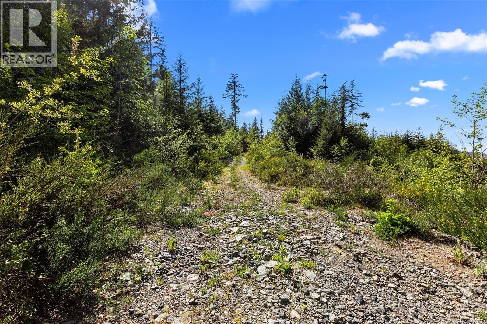 4229 Goldstream Heights Dr photo 2