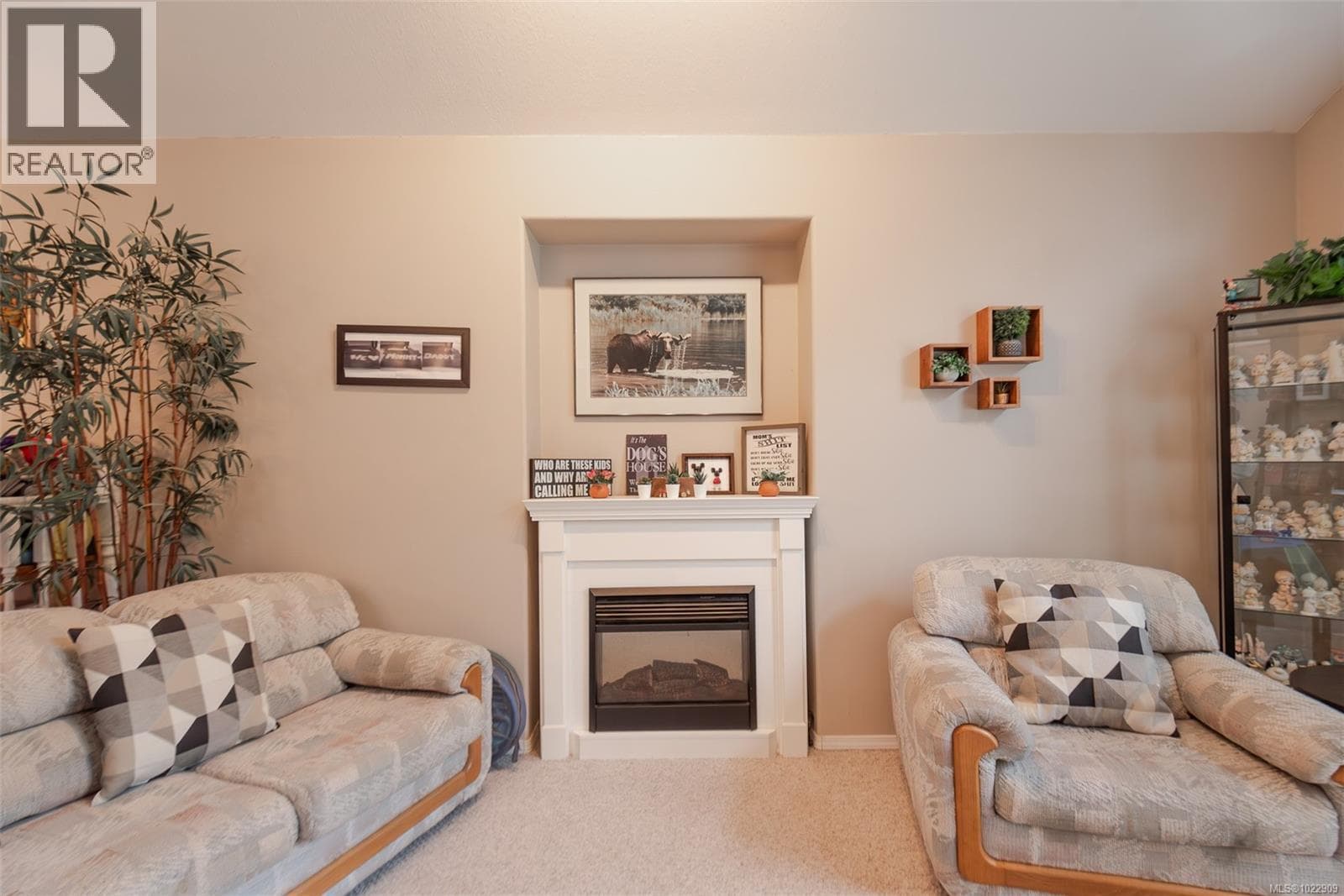 6420 Diana Dr photo 4
