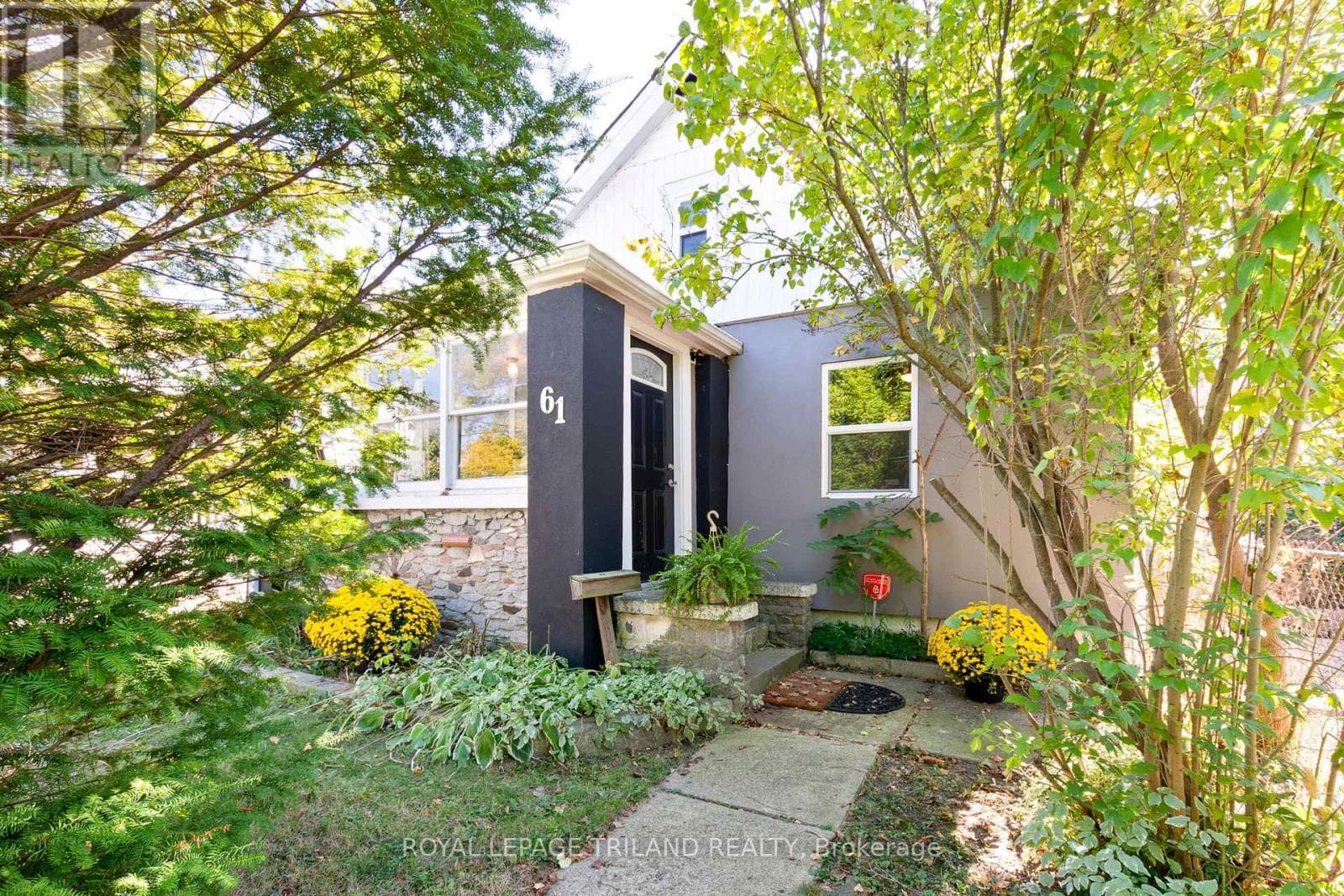 61 BRISCOE STREET W photo 5