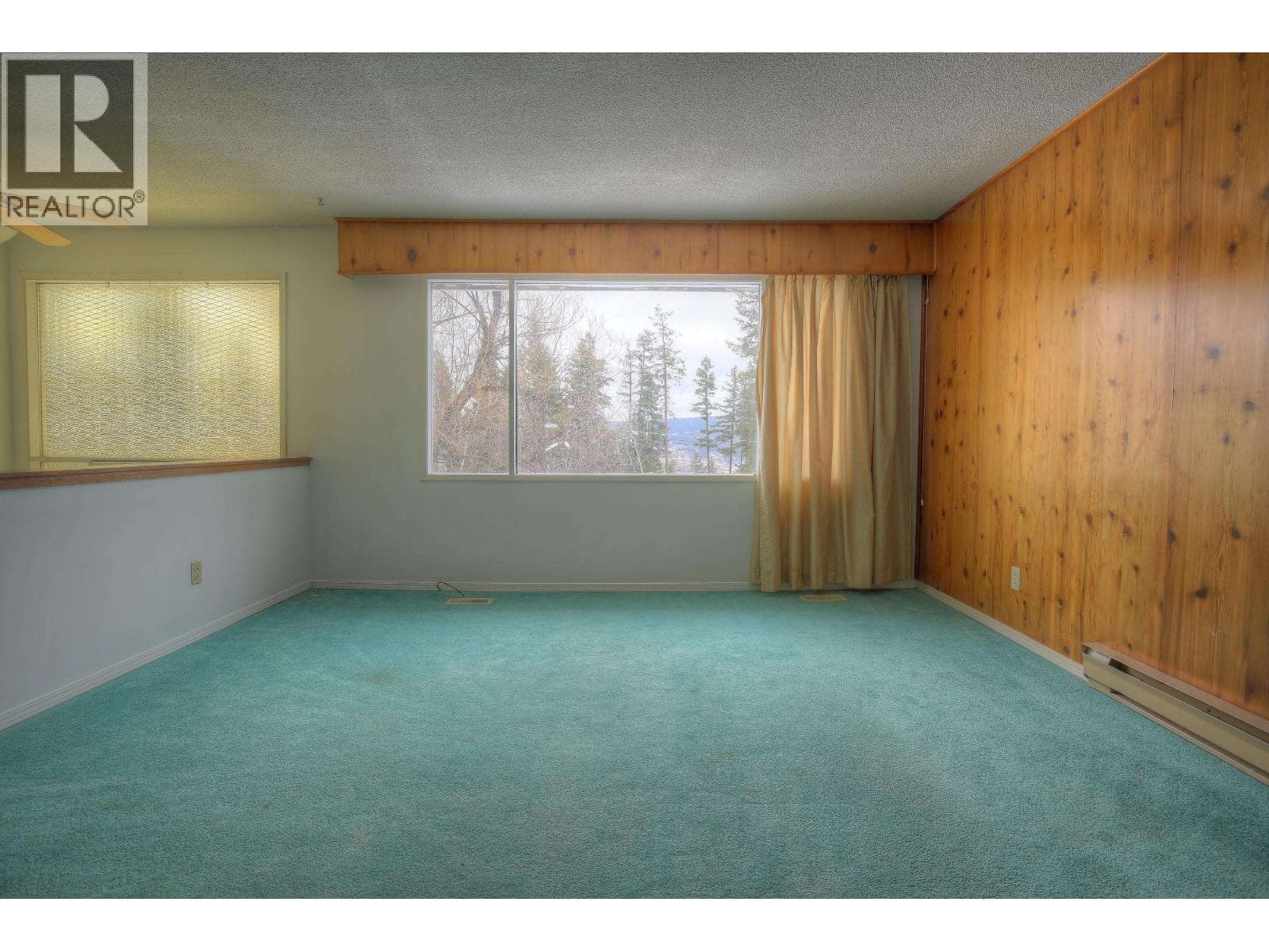 217 MOUNTVIEW DRIVE photo 3