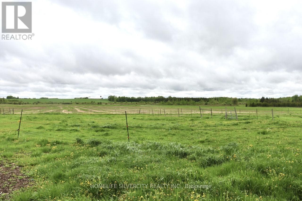 374136 6TH LINE photo 3