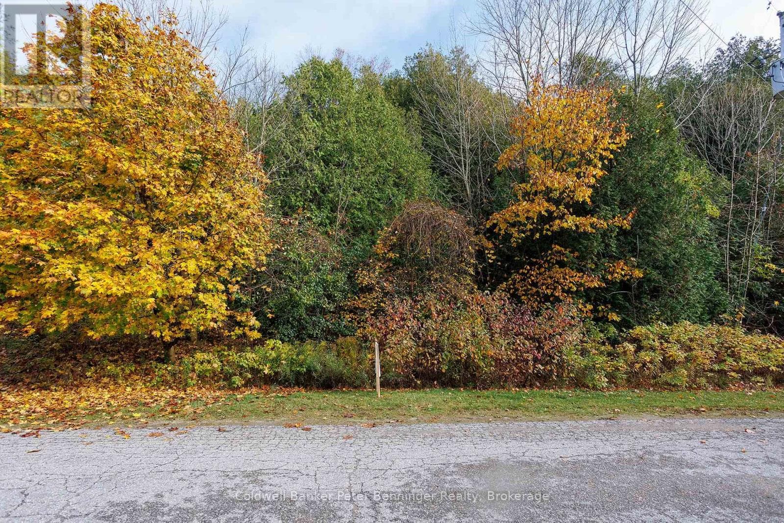 vacant land at LT 17 PL 594 COURTNEY COURT S — $250,800