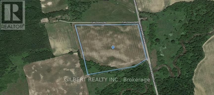 4176 ADJAL-TECUM TLINE TOWNLINE photo 3