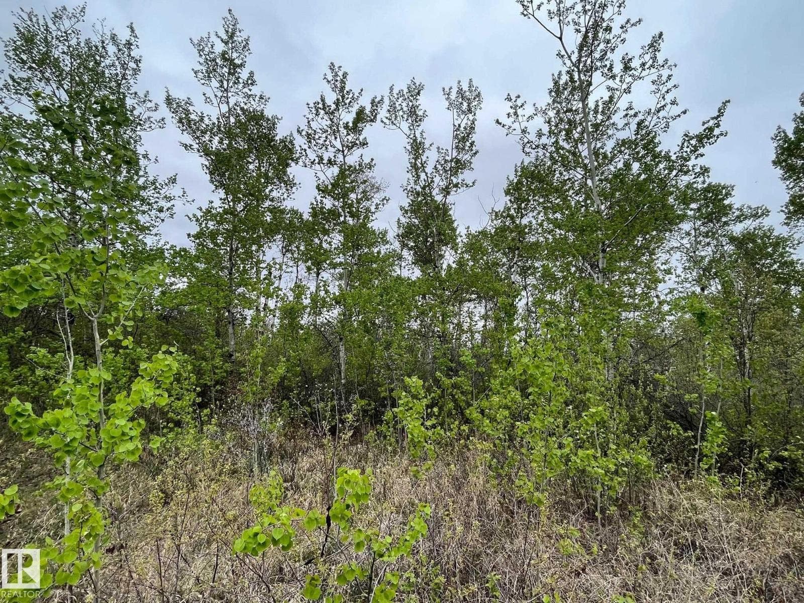 #10 60503 Rge Rd 470 — photo 3