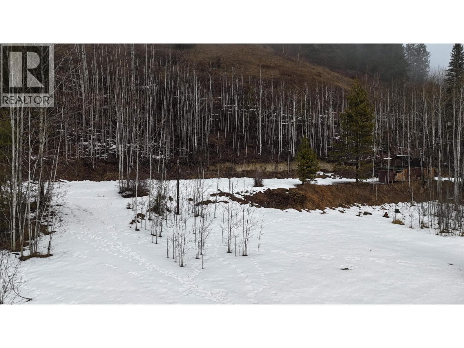 4468 CANIM-HENDRIX LAKE ROAD photo 4