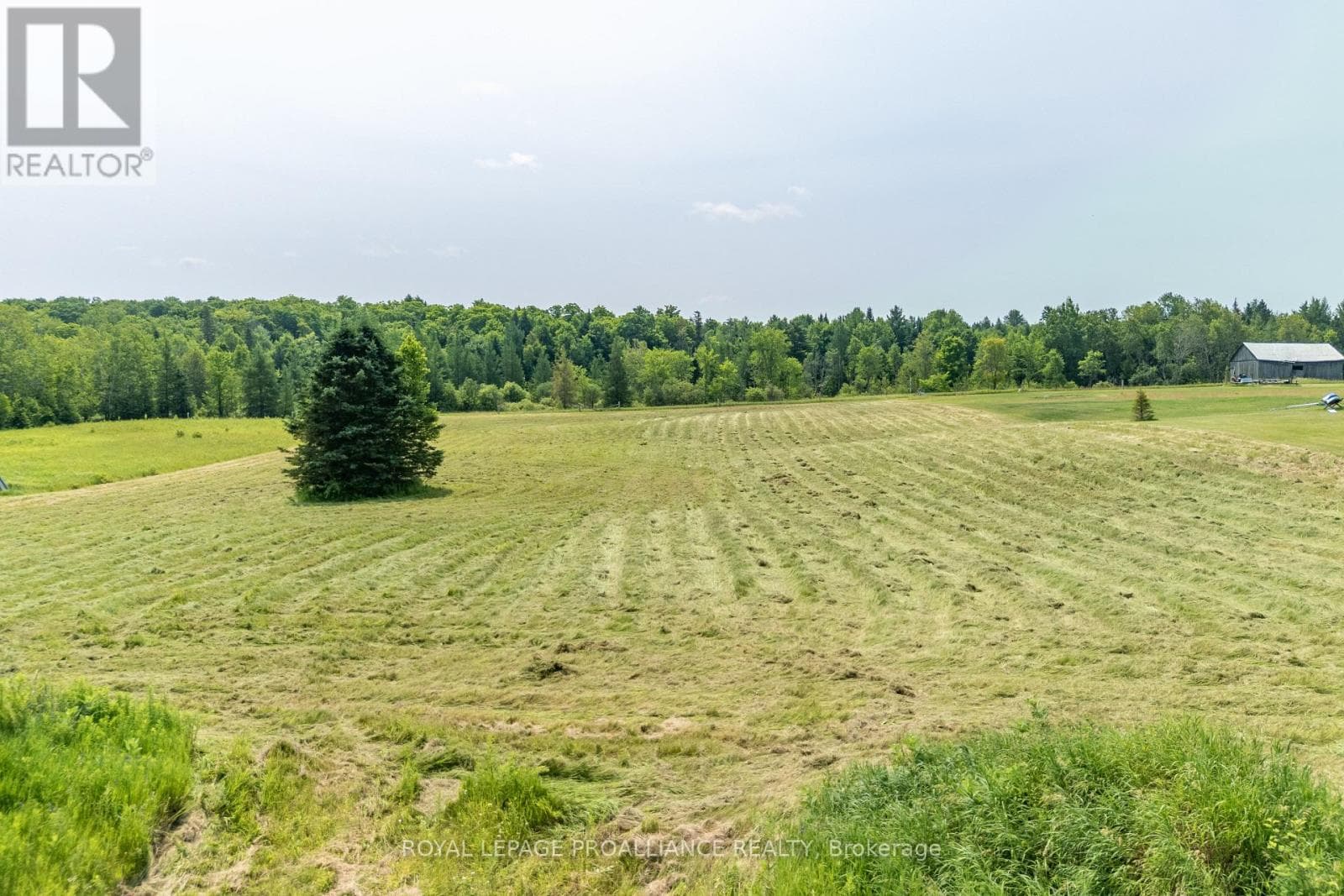 1226 GULL LAKE ROAD photo 3