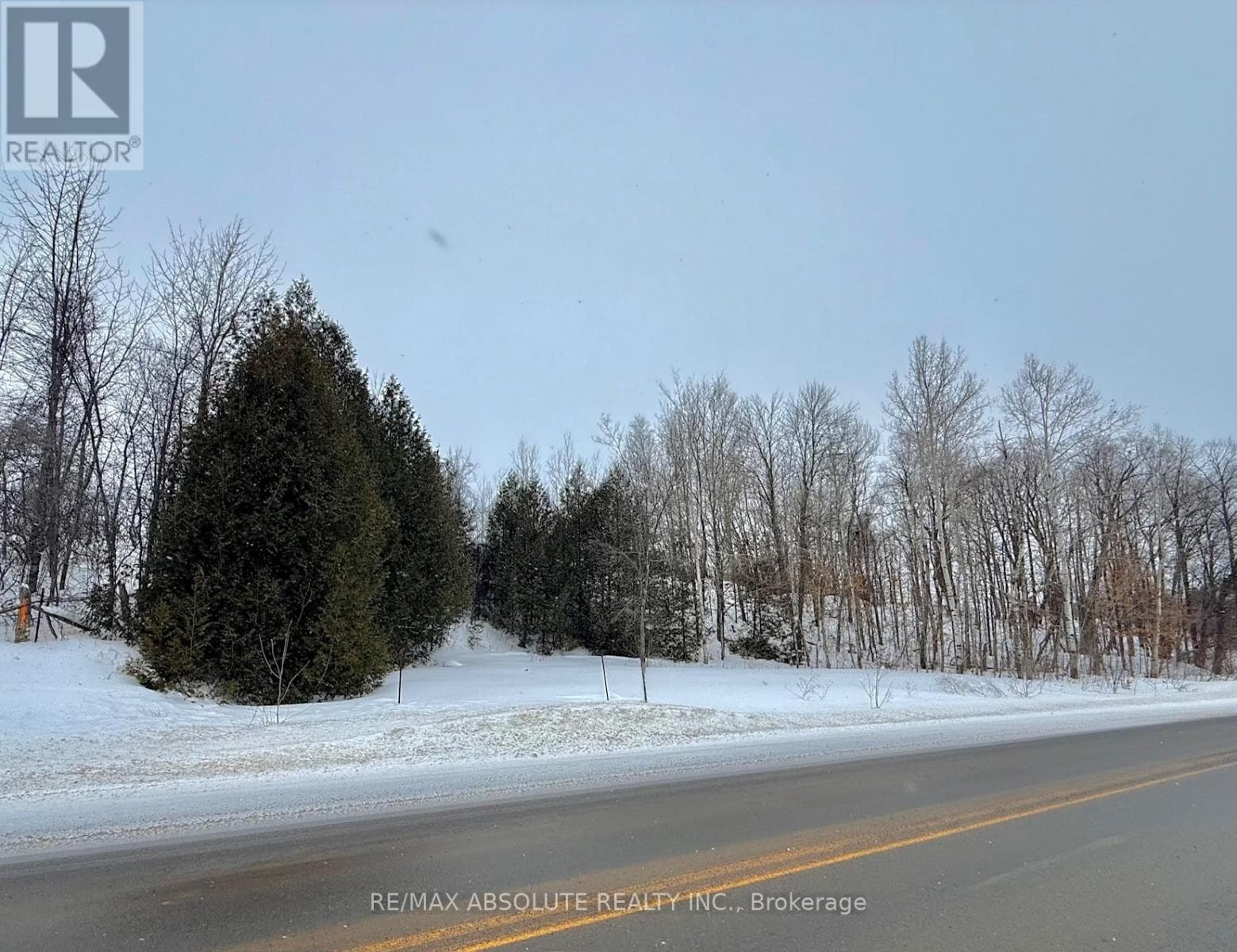 2325 RIVER ROAD photo 2