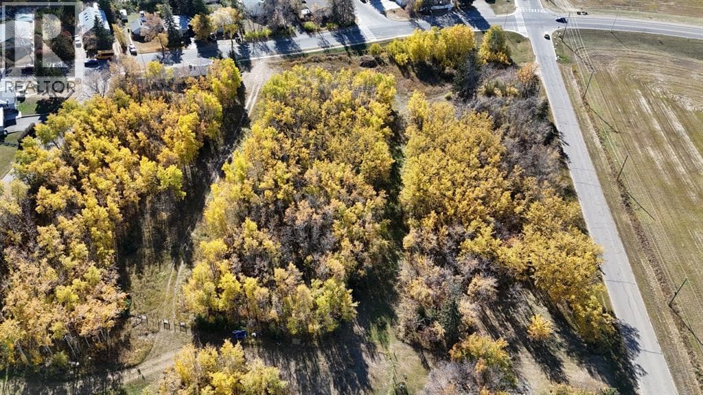 5005 46 Street — photo 5