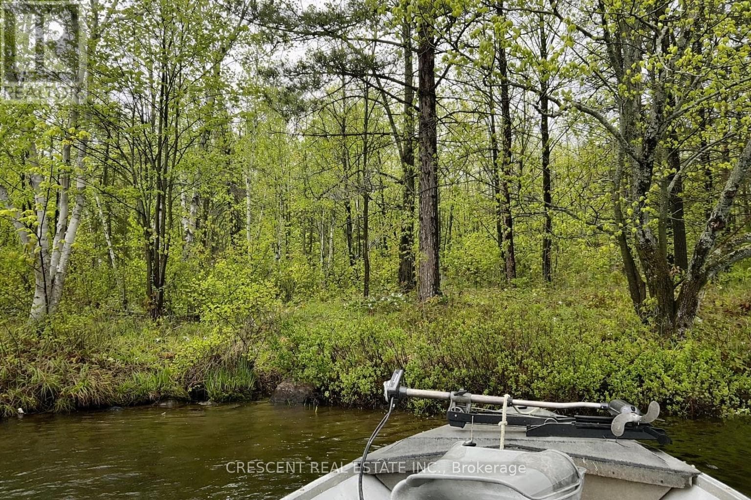 3A JACK'S LAKE ROAD photo 4