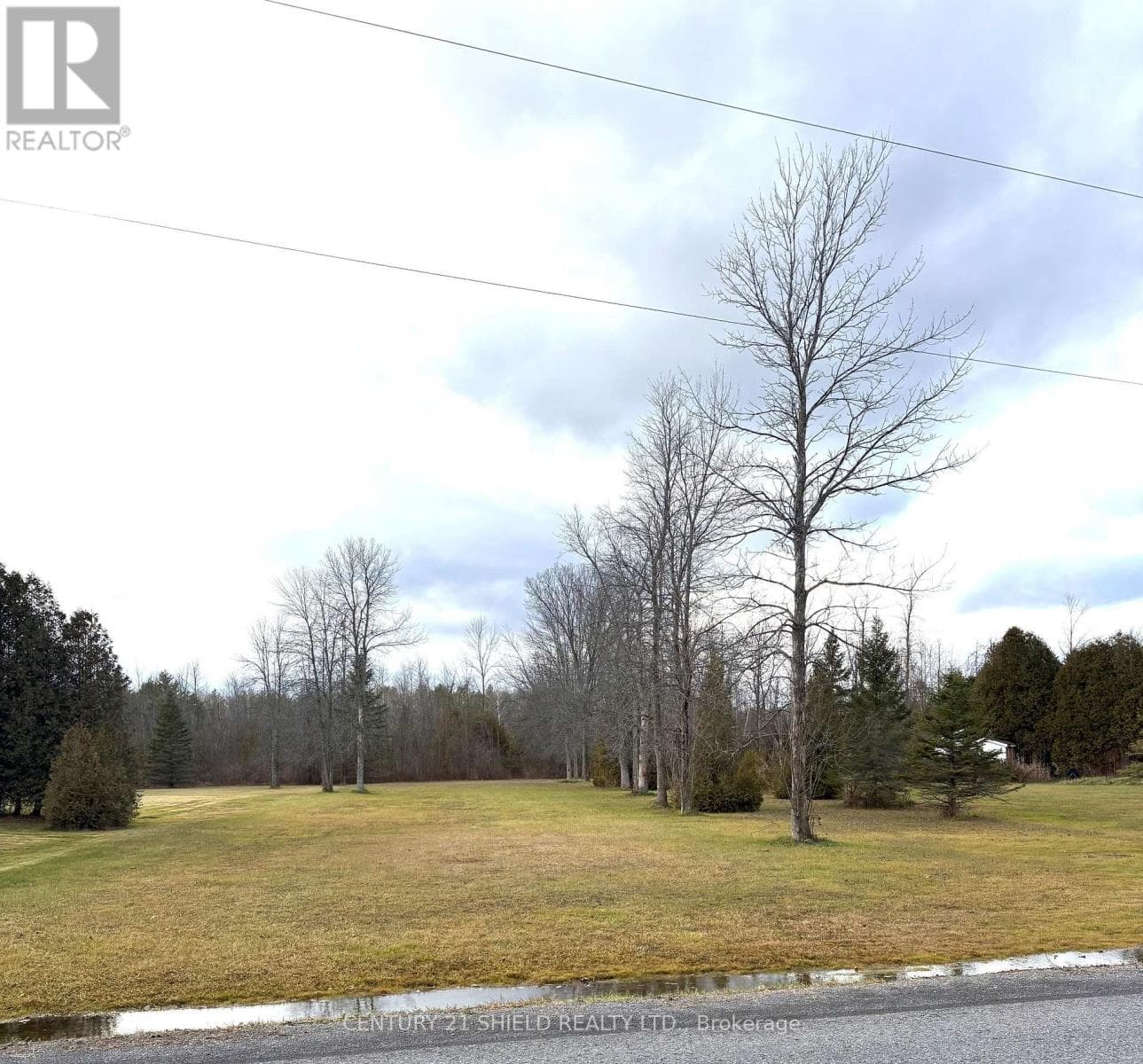 vacant land at 0000 DAFOE ROAD — $110,000
