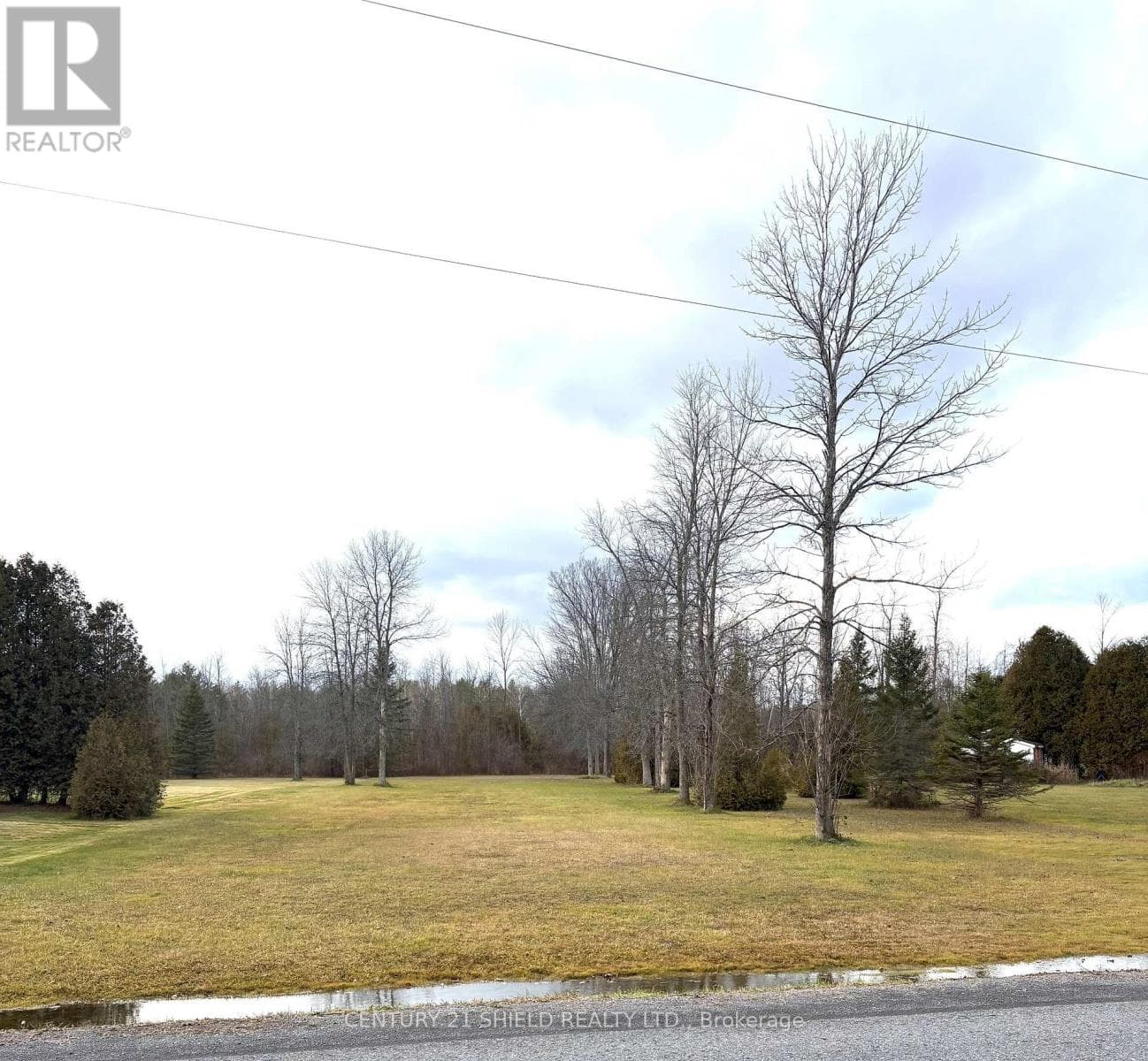 0000 DAFOE ROAD photo 2
