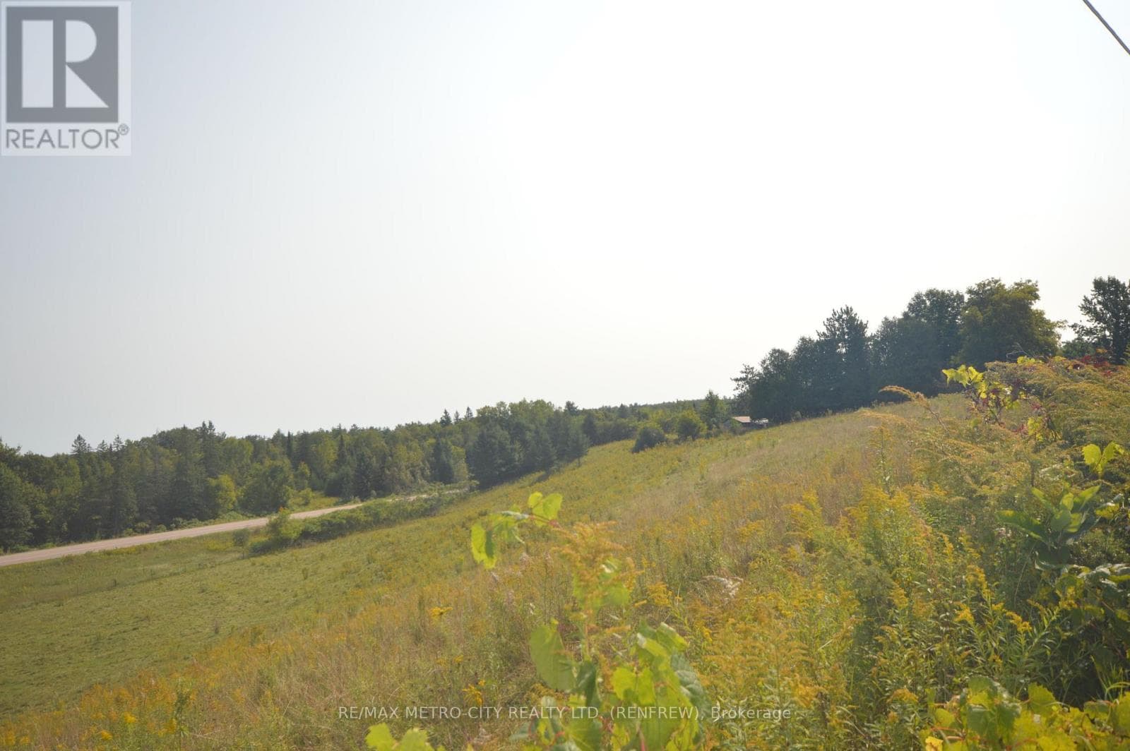 1810 GARDEN OF EDEN ROAD photo 2