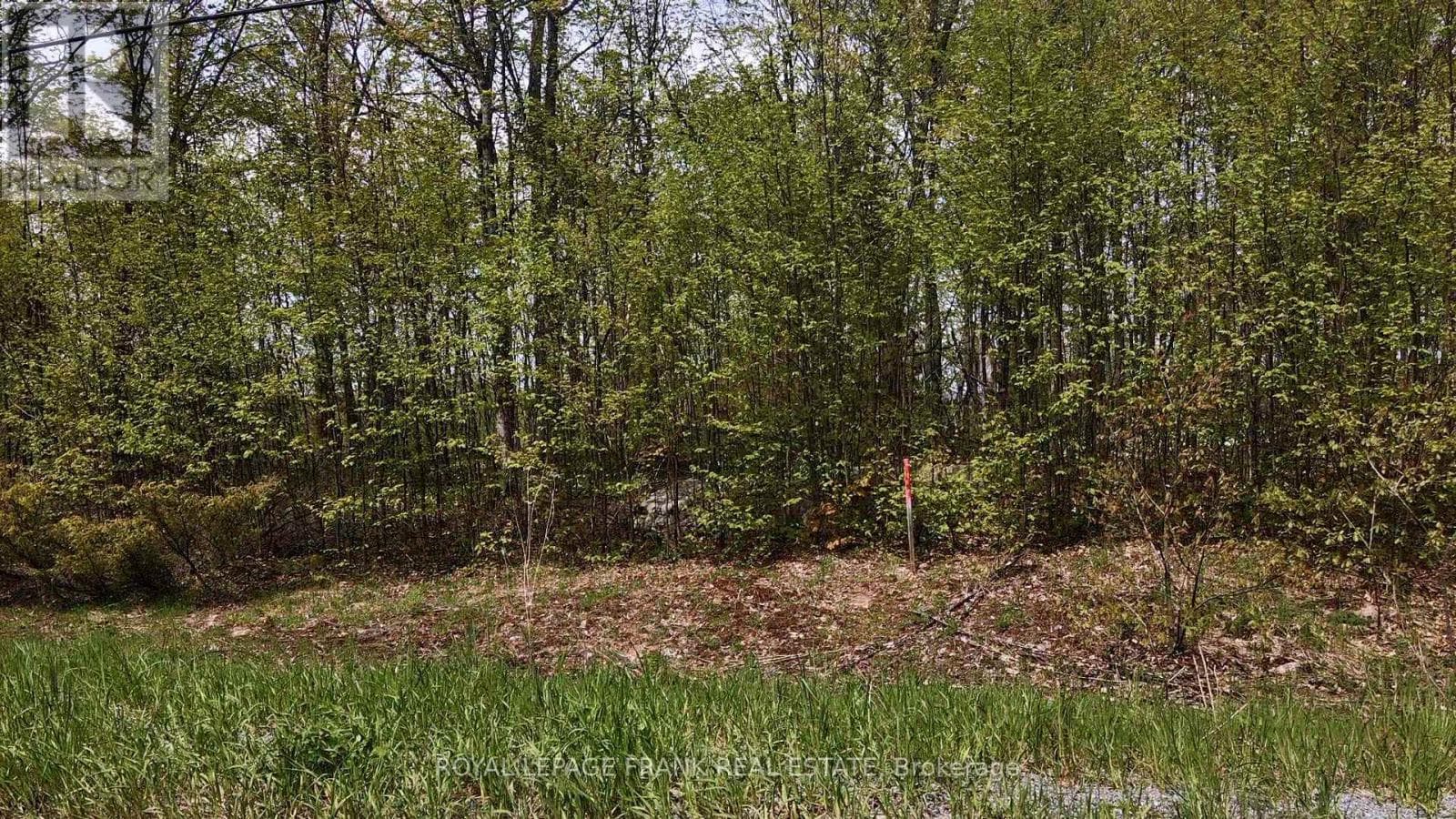 00 BIRCHVIEW ROAD photo 5