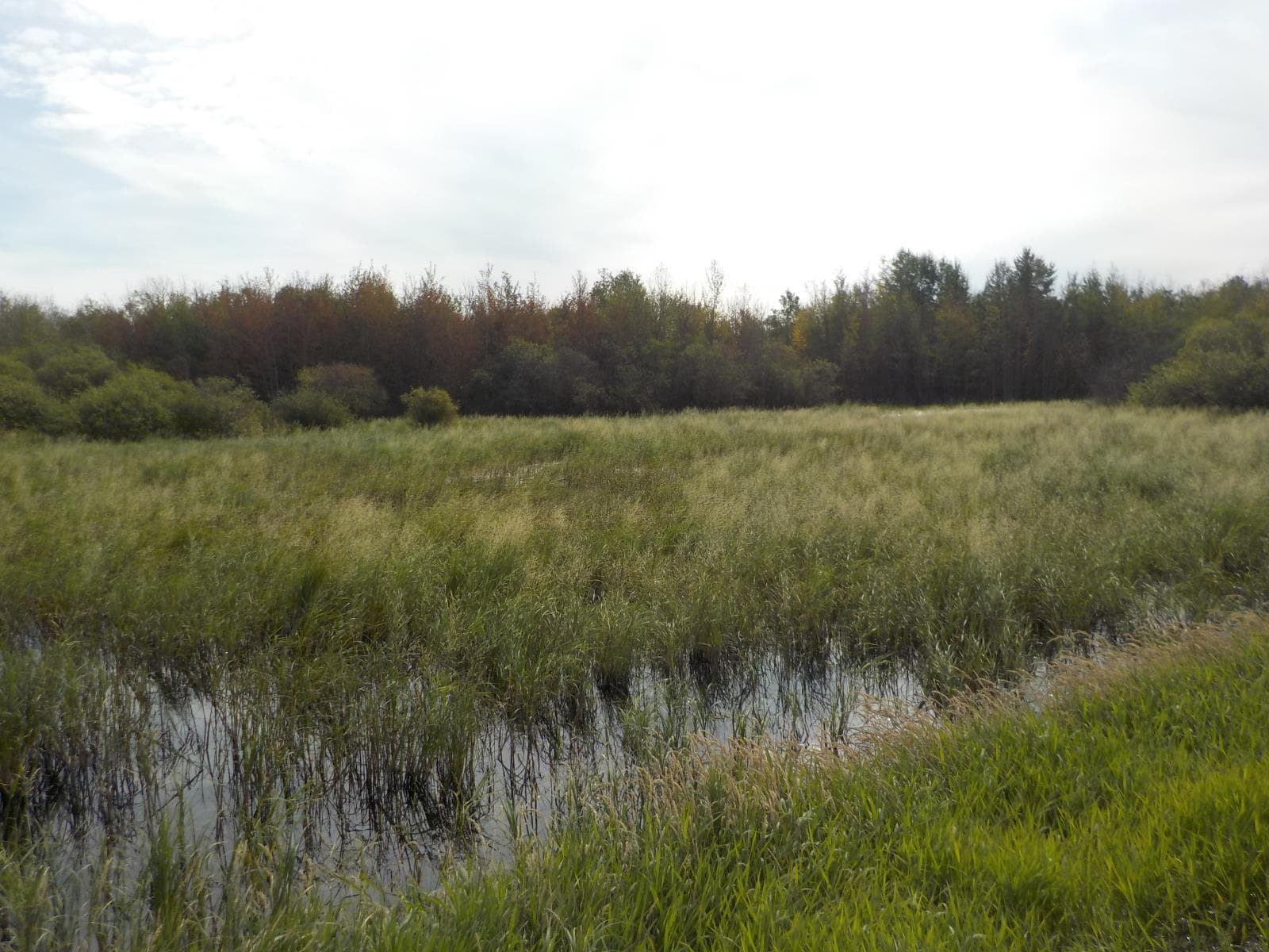 Redwater, Alberta
