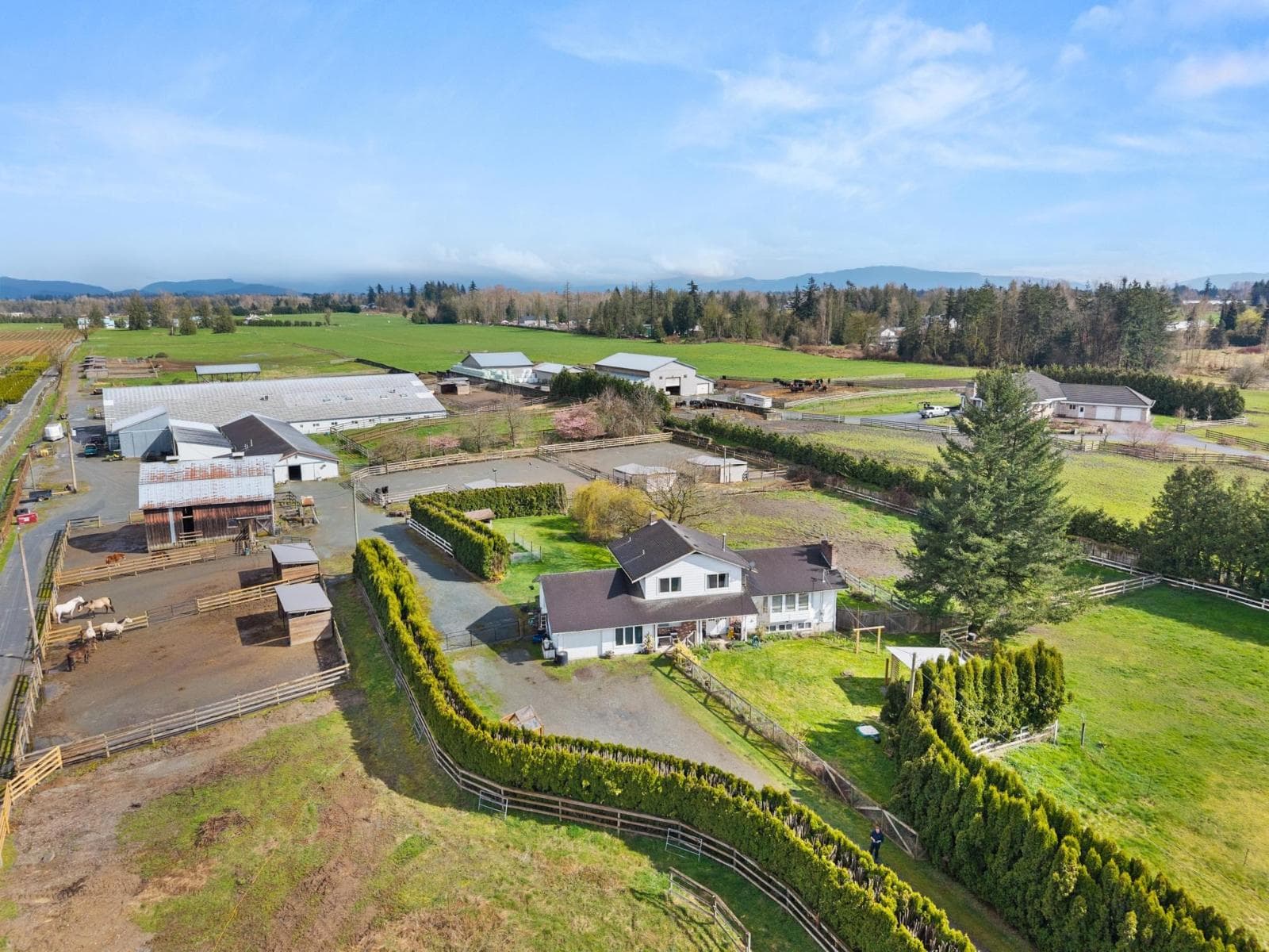 4532 272 STREET photo 3