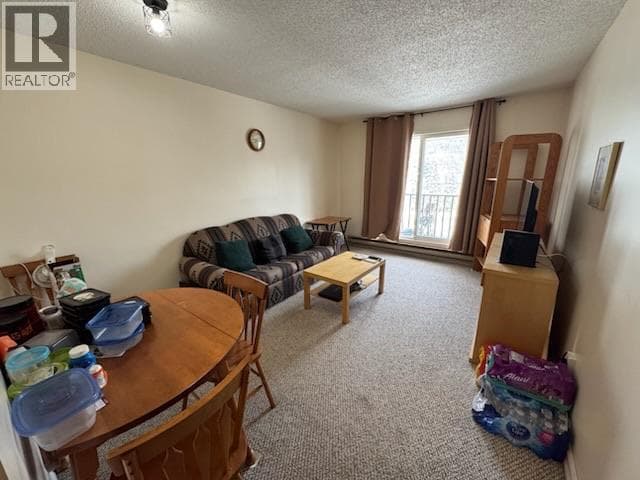 1335 Alpine Drive Unit# 209B photo 3