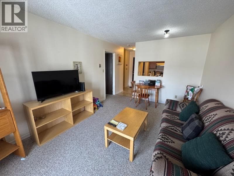 1335 Alpine Drive Unit# 209B photo 4