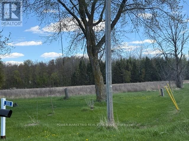 955 ST GUILLAUME ROAD photo 5