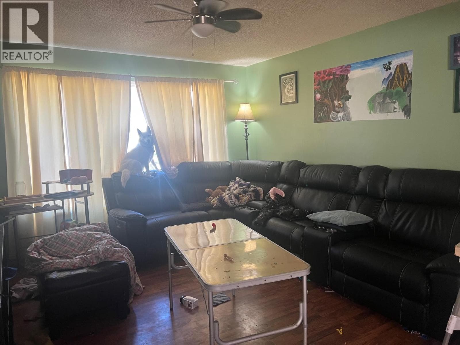 4809 51A Avenue photo 4