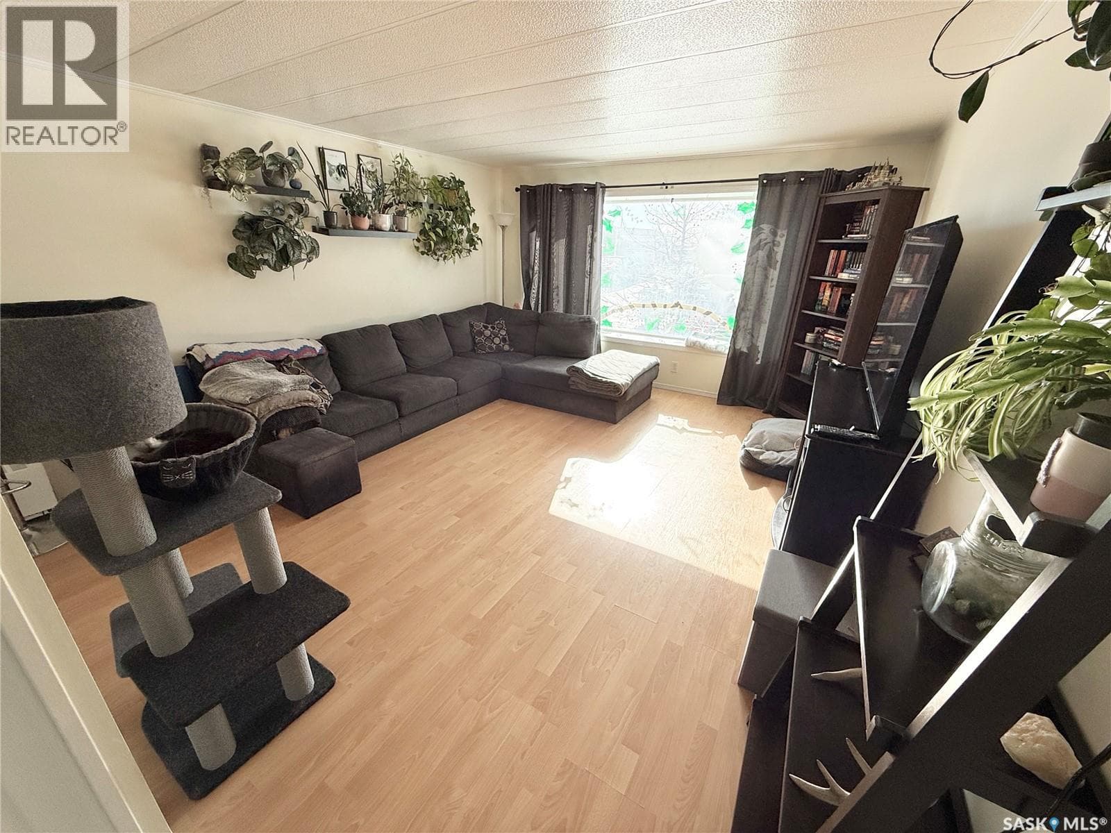 148 Laing CRESCENT — photo 5