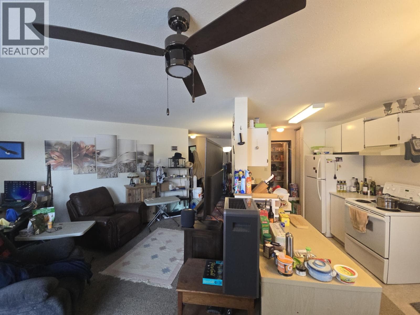305 398 RODDIS DRIVE photo 4