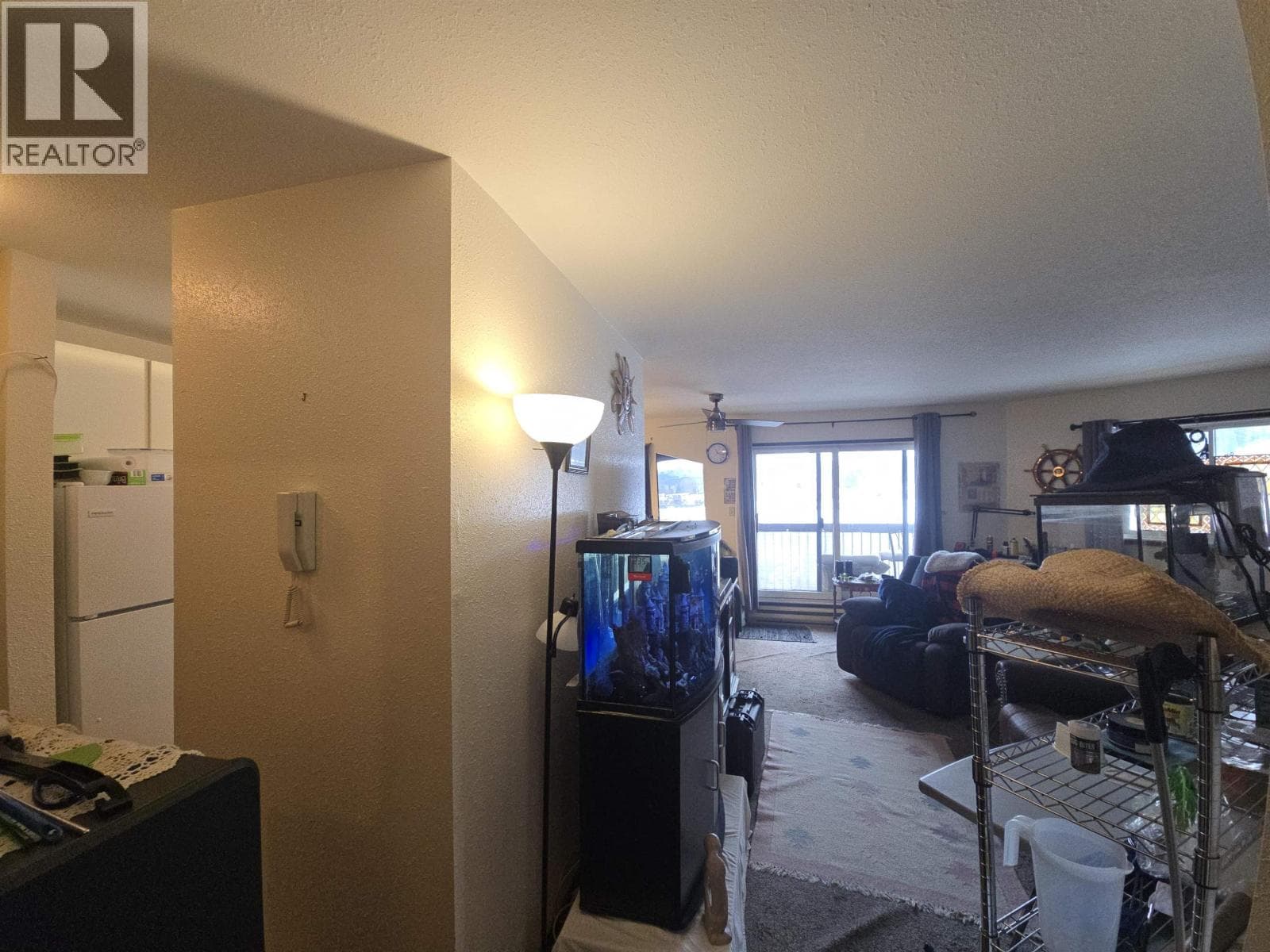305 398 RODDIS DRIVE photo 5
