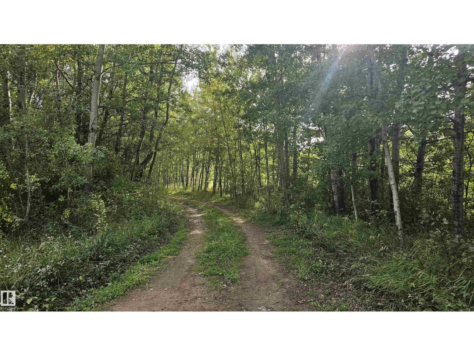 #6 2415 TWP ROAD 521 — photo 3