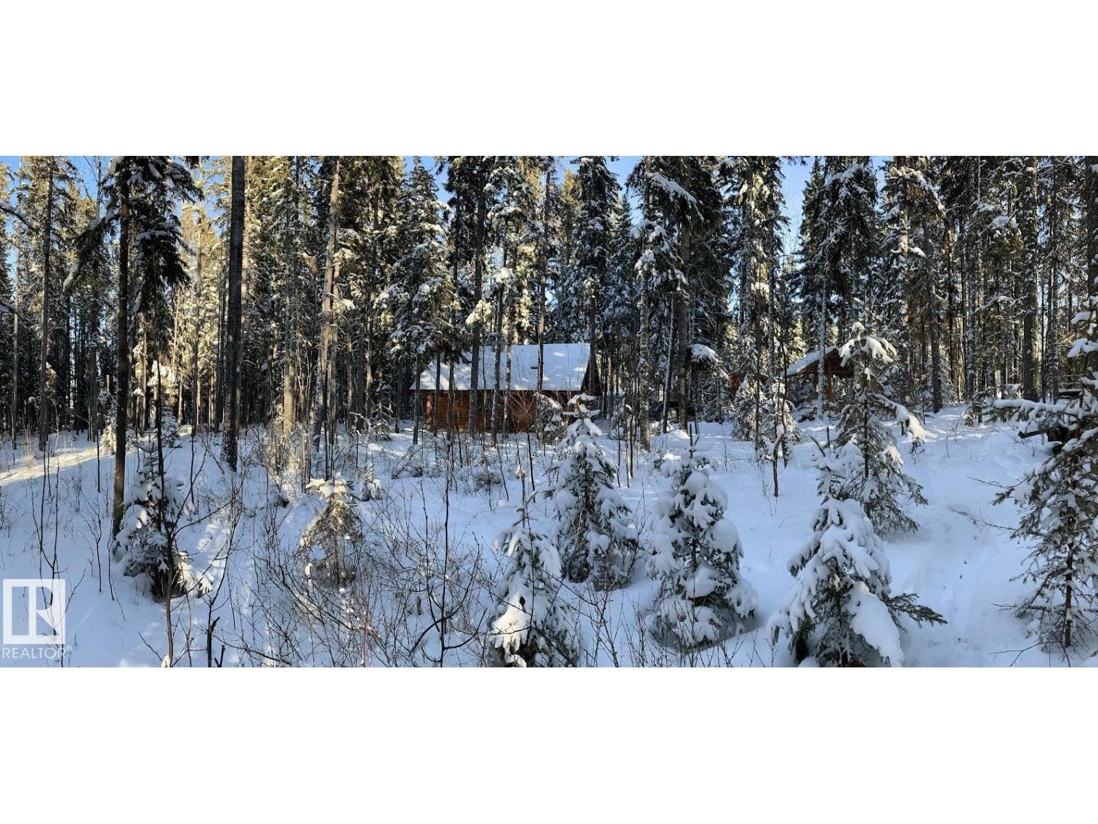 #81 62057 TWP ROAD 464 — photo 4