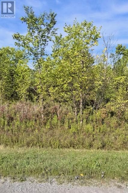 vacant land at LOT 3 MONTROSE ROAD — $279,900