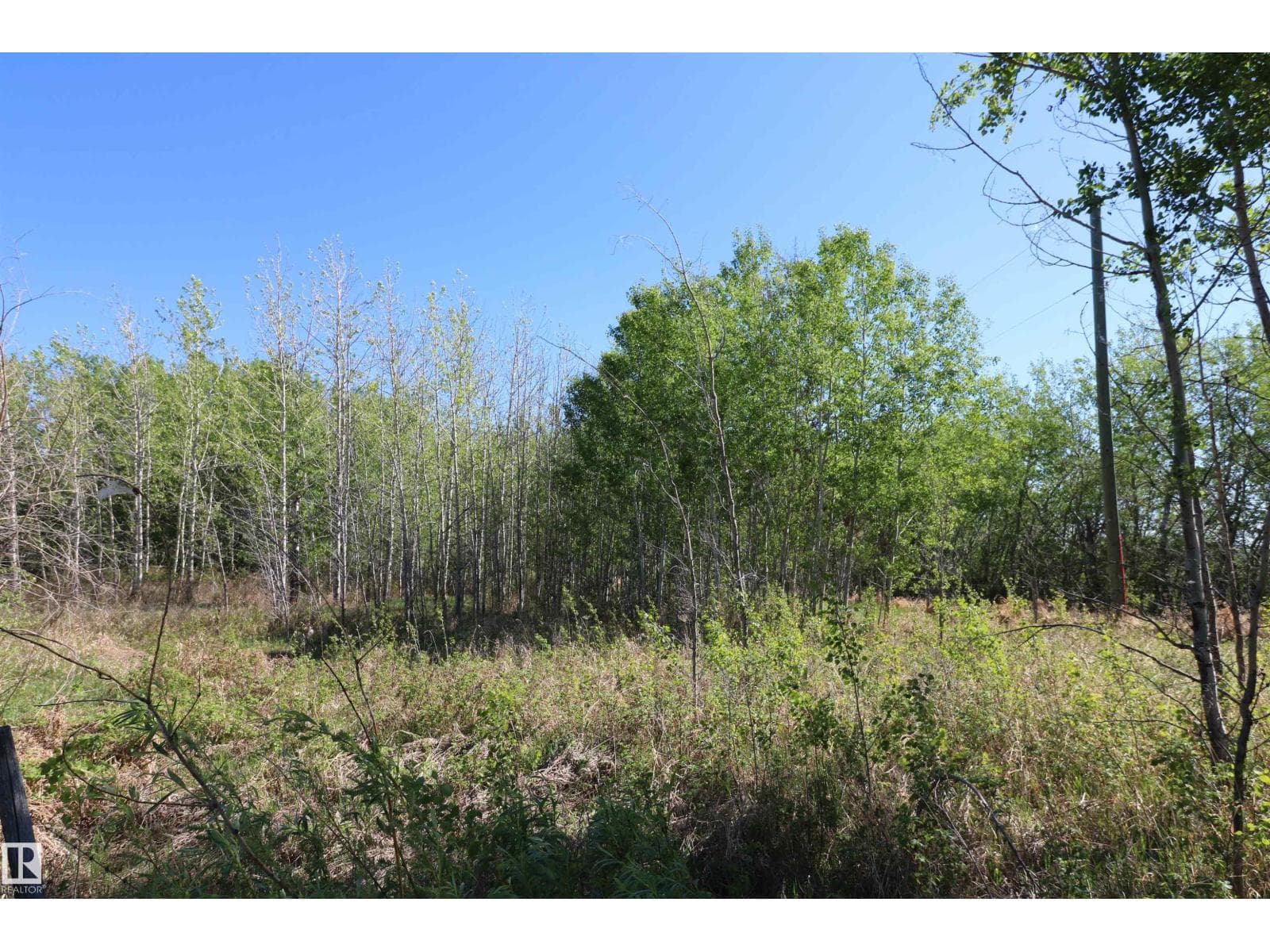400 54411 RGE RD 40 photo 2