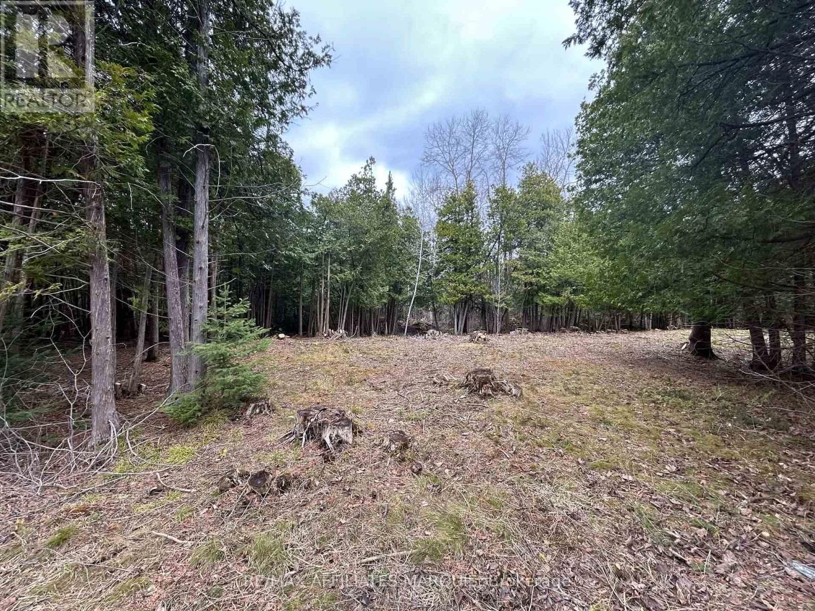 vacant land at 00 SNOWDONS CORNERS ROAD — $99,900
