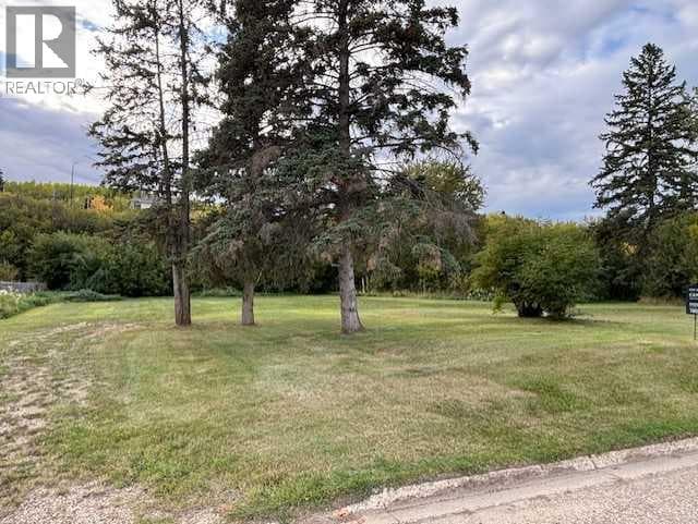 10702 90 Street — photo 2