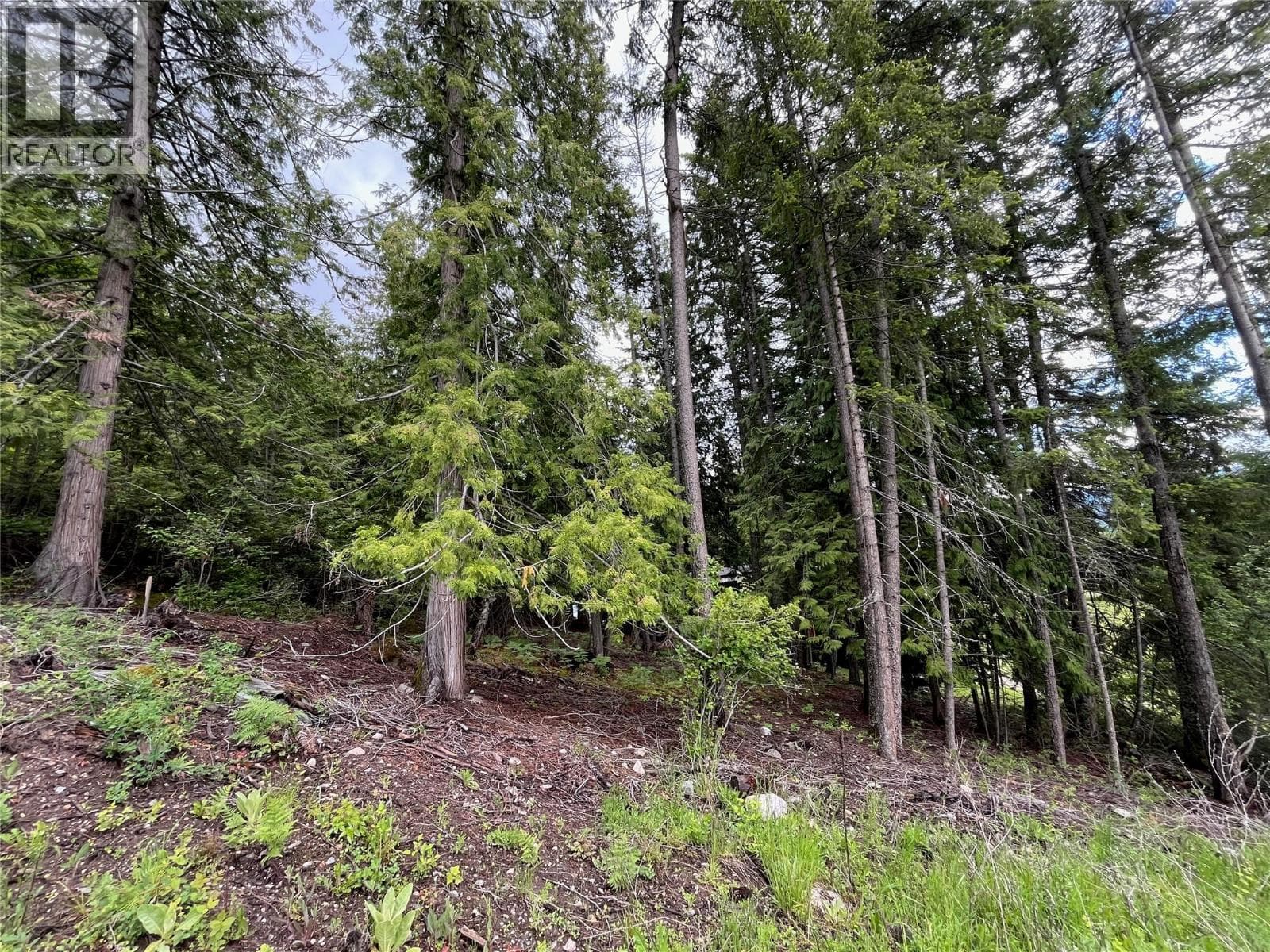 Columbia Drive Lot# 138 photo 2