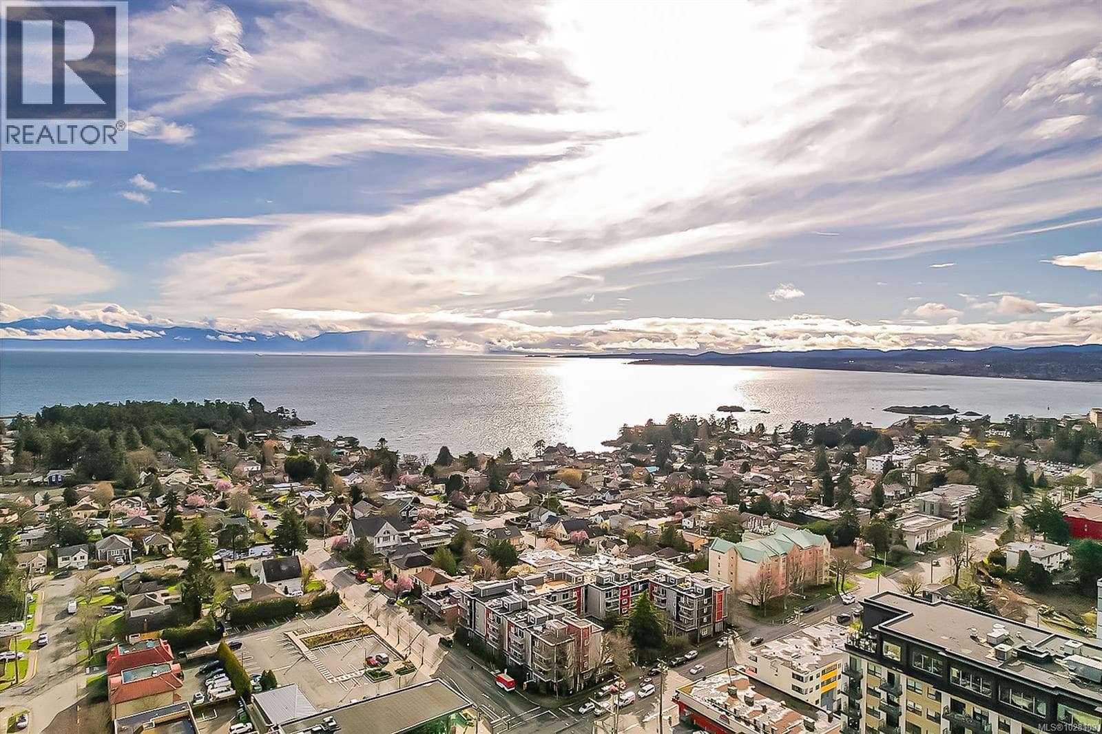 210 1315 Esquimalt Rd photo 3