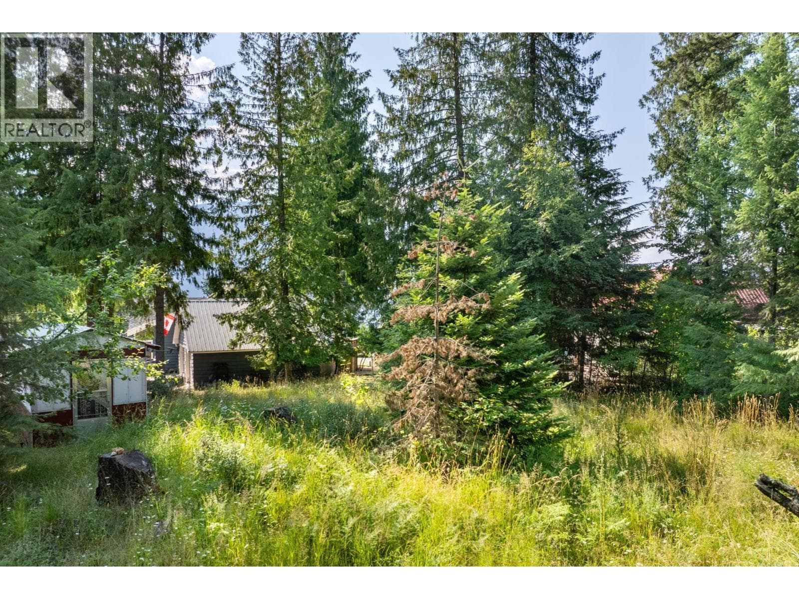 13523 MOUNTAIN SHORES Road photo 4