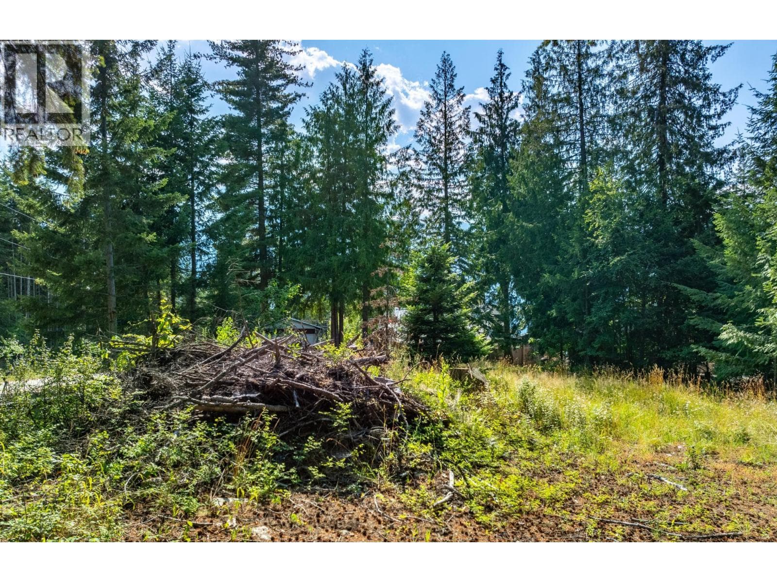 13523 MOUNTAIN SHORES Road photo 3