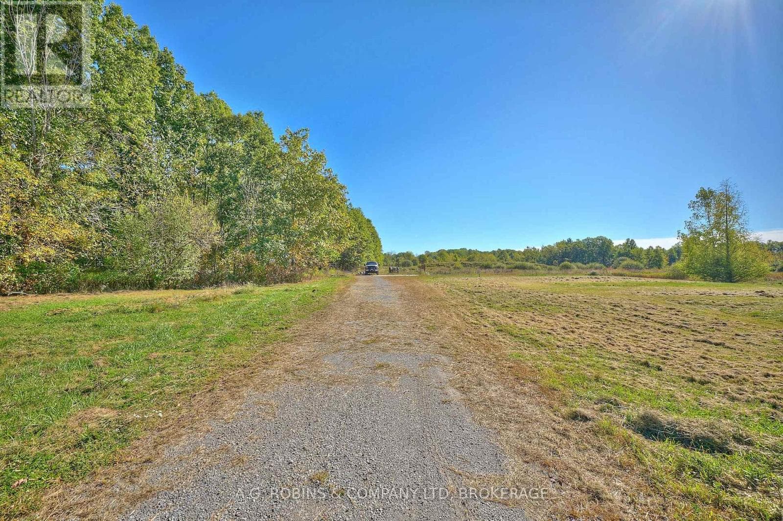 14440 MCKENNEY ROAD photo 4