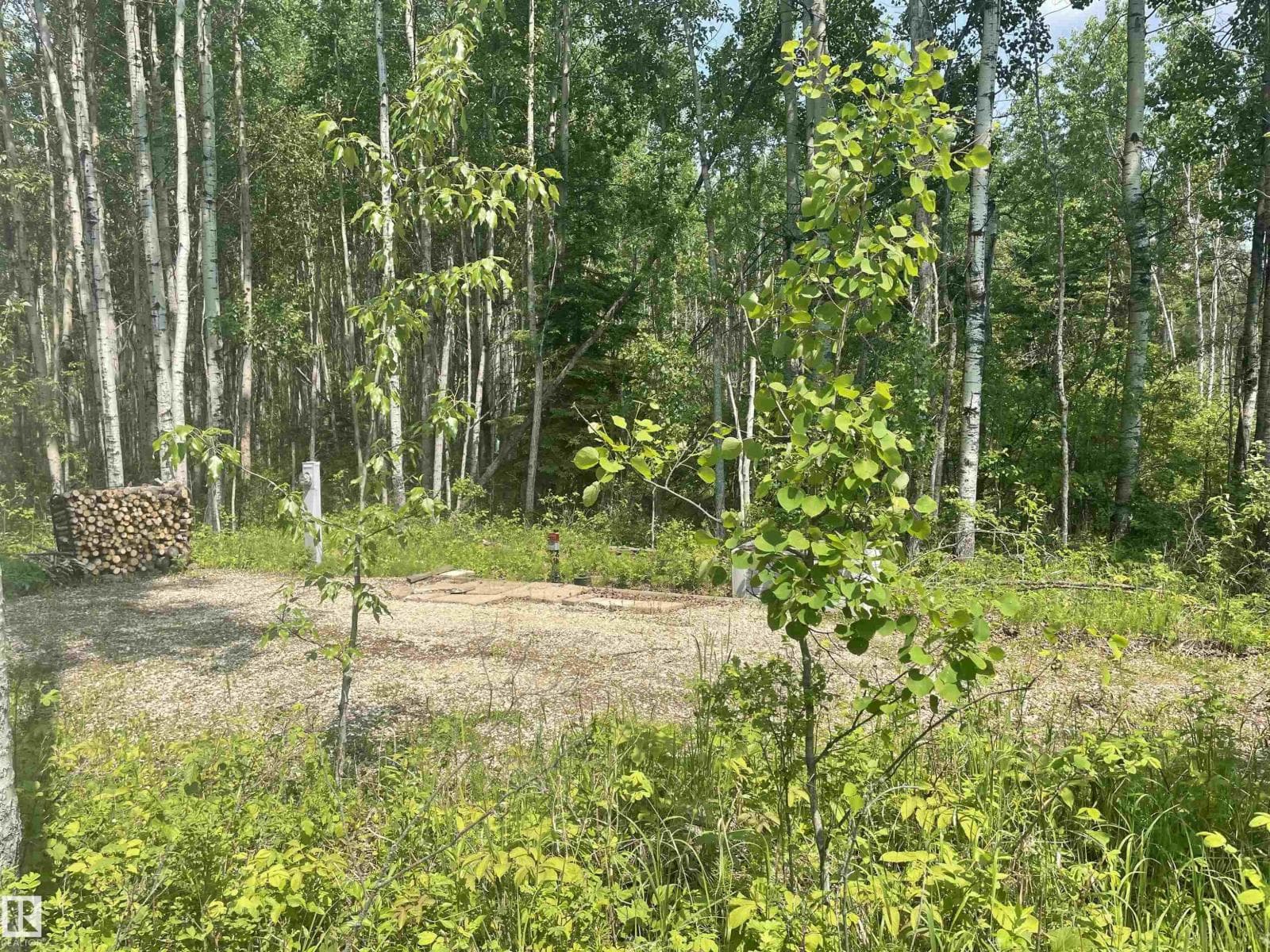 #74 5519 TWP RD 550 — photo 4