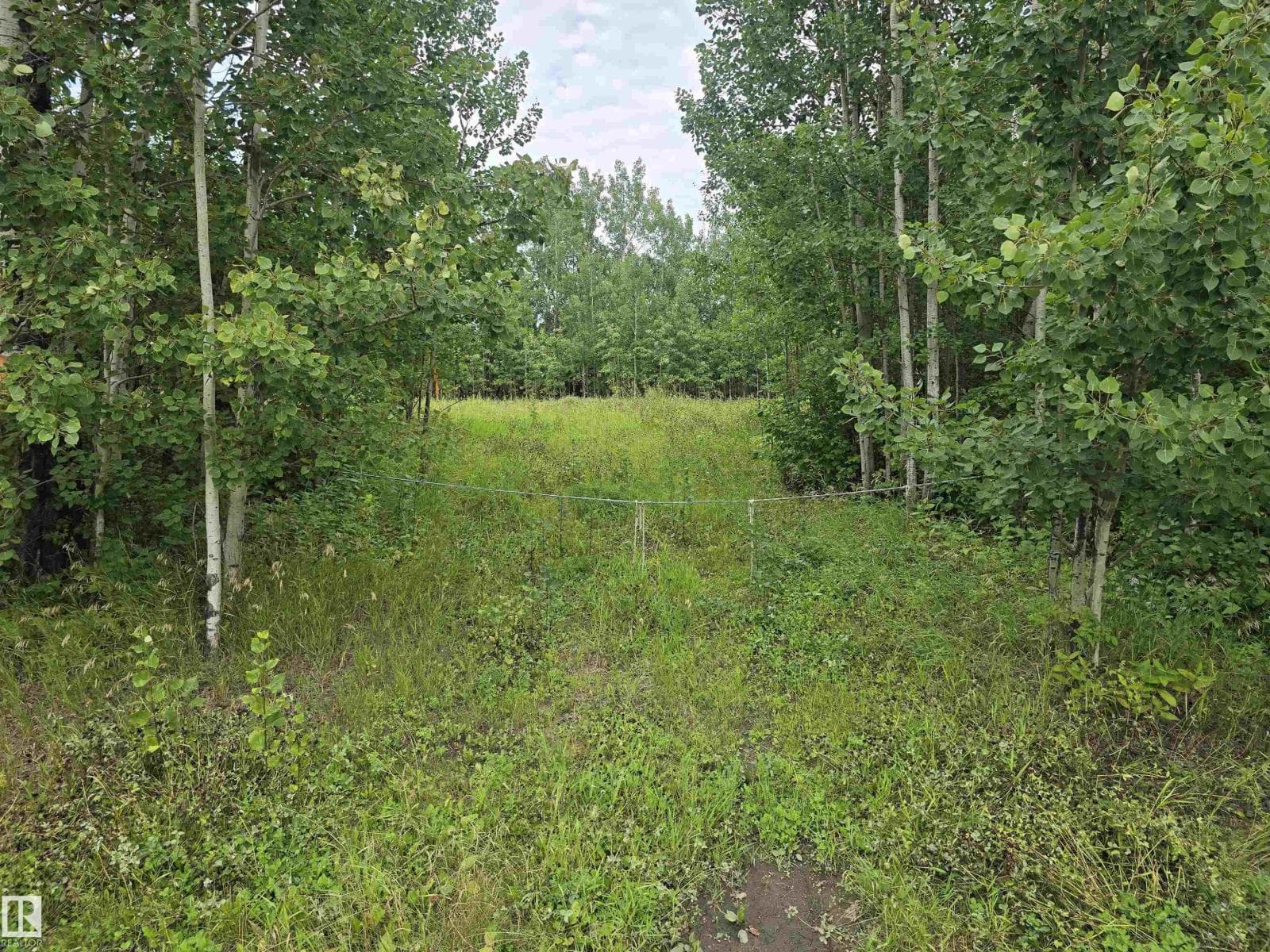 19-55022 Ste. Anne Trail — photo 2