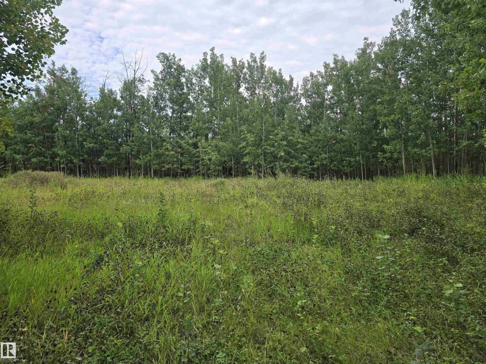 19-55022 Ste. Anne Trail — photo 3