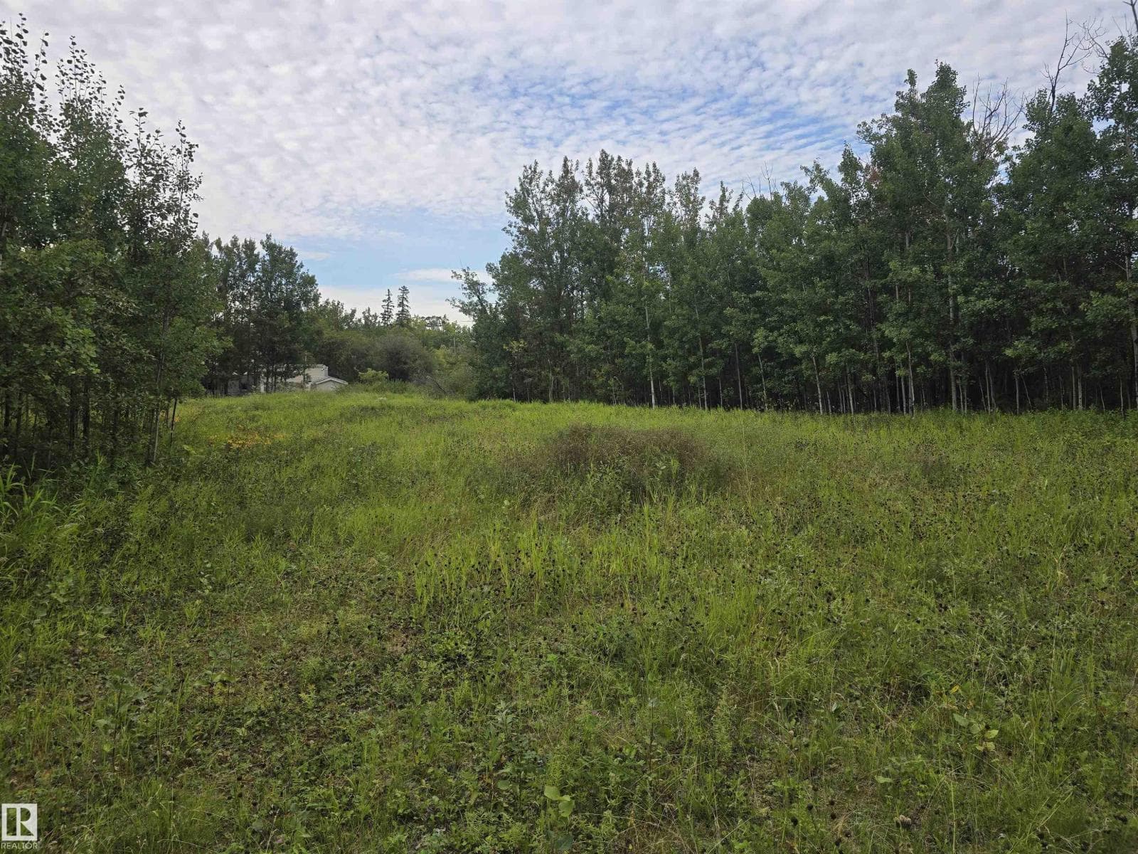 19-55022 Ste. Anne Trail — photo 4
