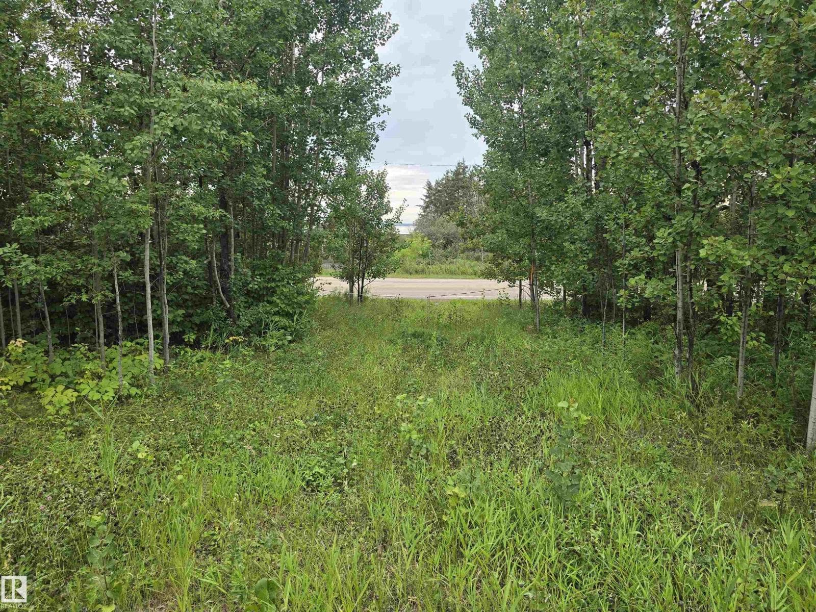 19-55022 Ste. Anne Trail — photo 5