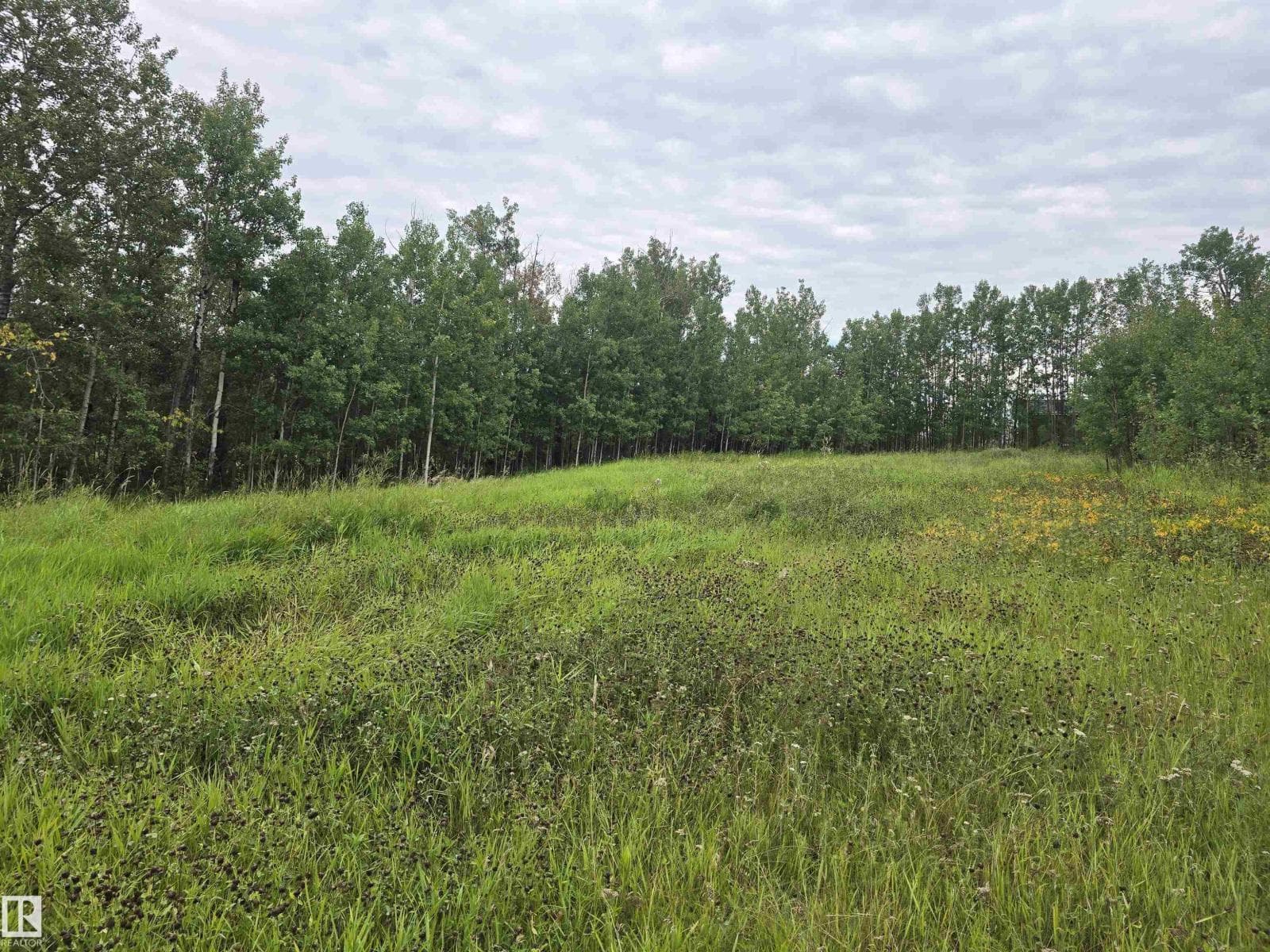 21-55022 Lac Ste. Anne Trail — photo 4