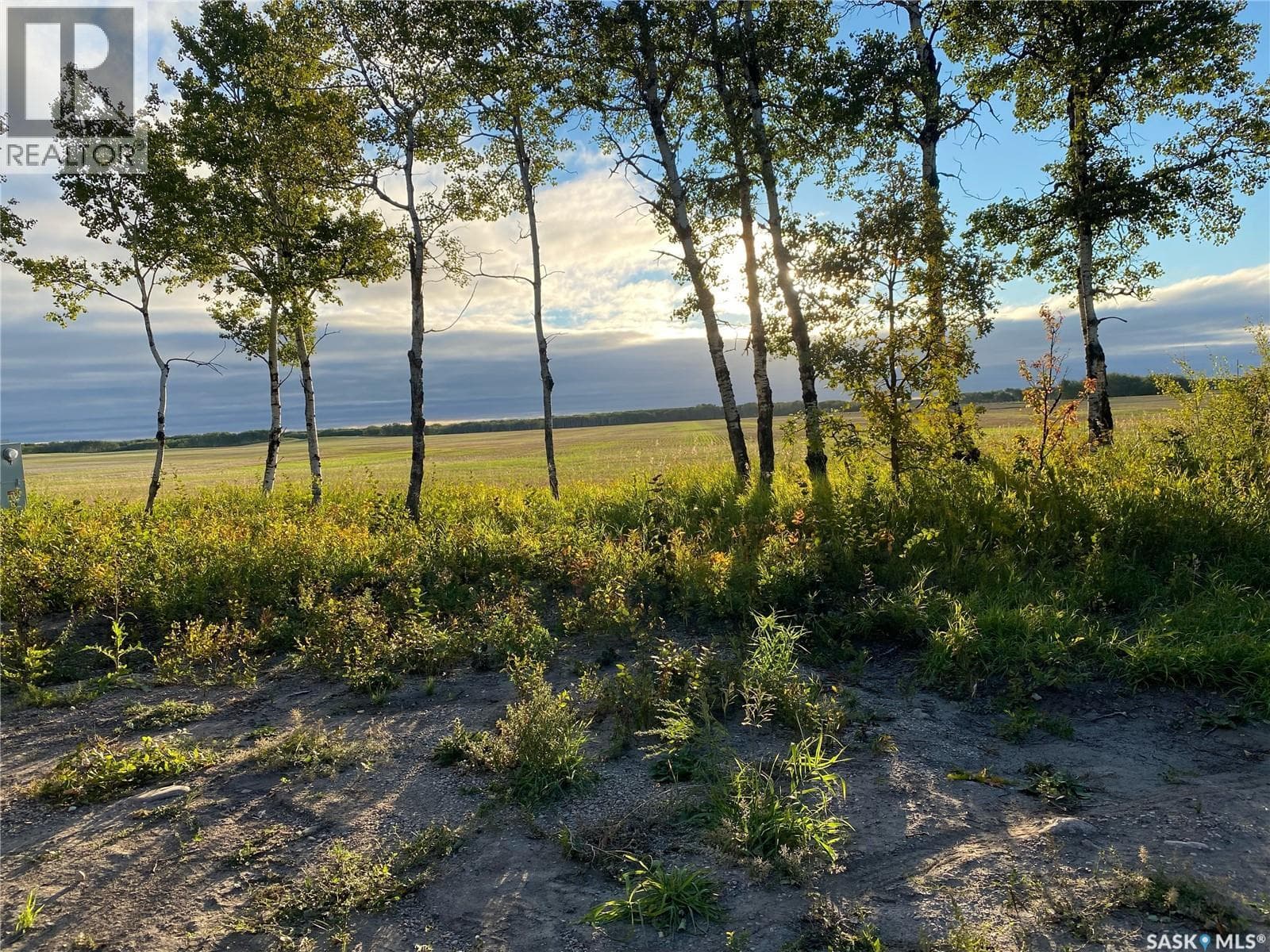 Meyer 10.02 Acres — photo 5