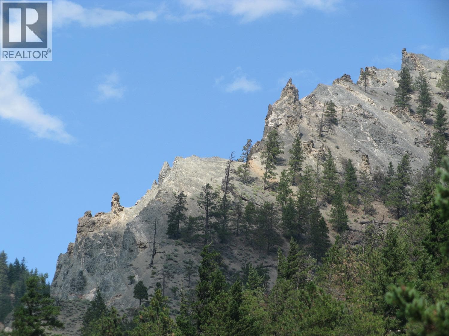Section 8 Trans Canada Highway photo 4