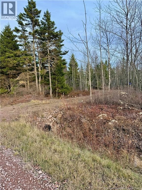 1192 Rte 935 photo 5