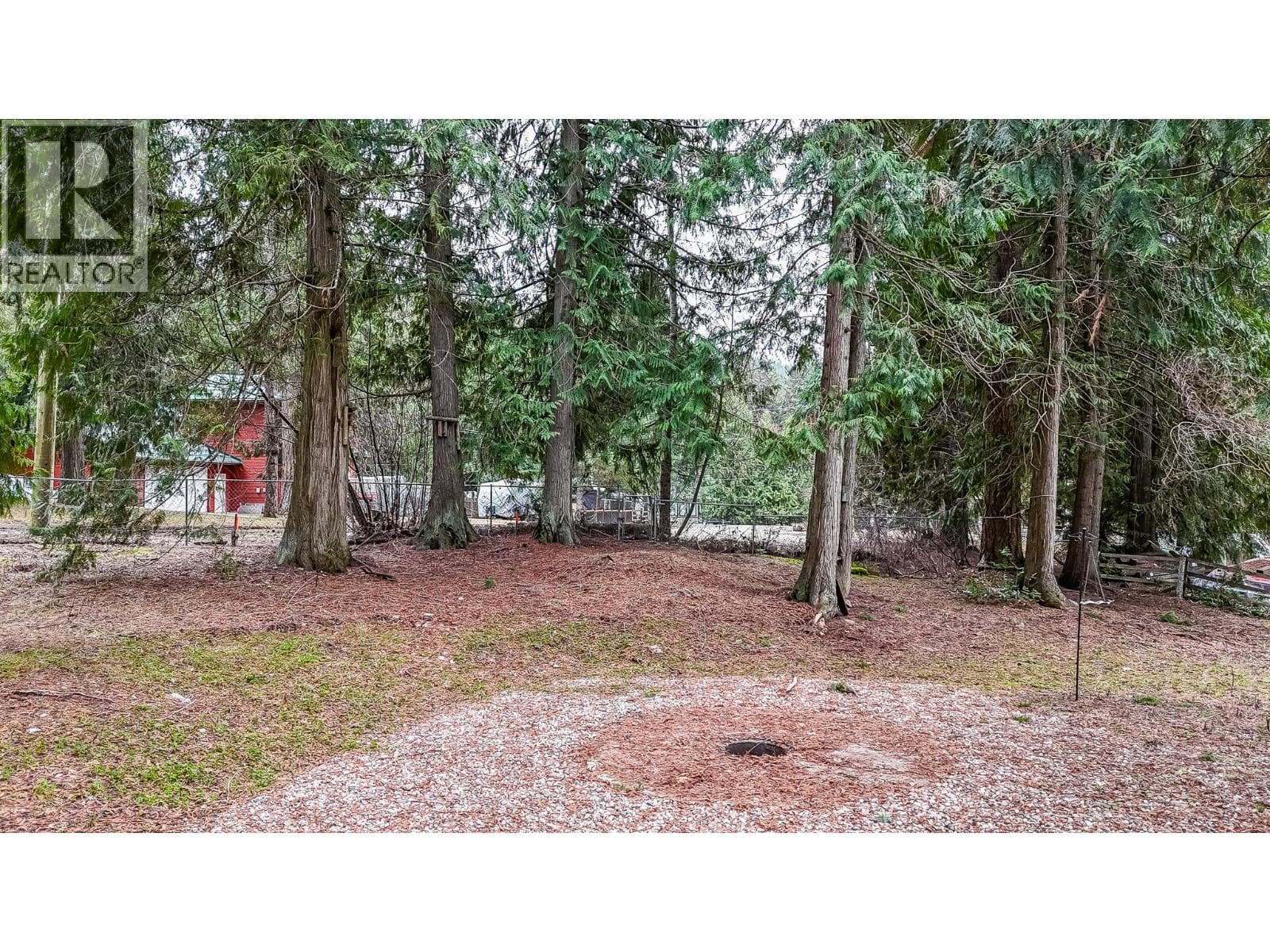 656 Swansea Point Road photo 5