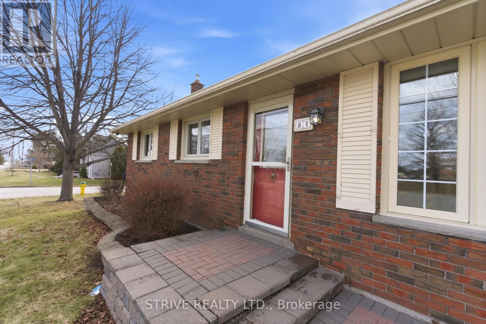 81 D'ARCY STREET photo 4